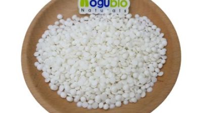 aogebio Steareth-21.jpg