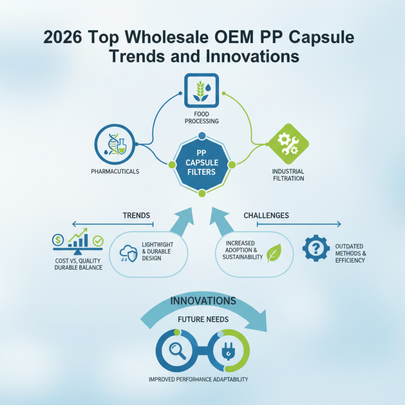 2026 Top Wholesale OEM PP Capsule Filter Trends and Innovations?