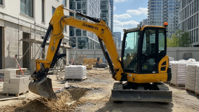 Why Choose a Mini Excavator for Your Next Project?