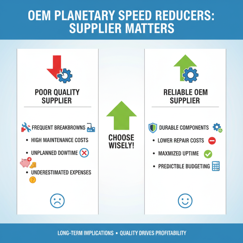 Why Choosing the Best OEM Planetary Speed Reducers Supplier Matters?
