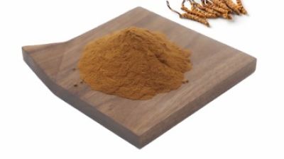 Cordyceps-Powder.jpg
