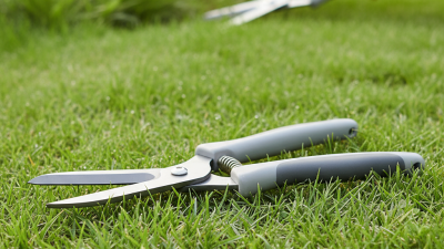 How to Choose the Best Grass Shears for Your Garden?