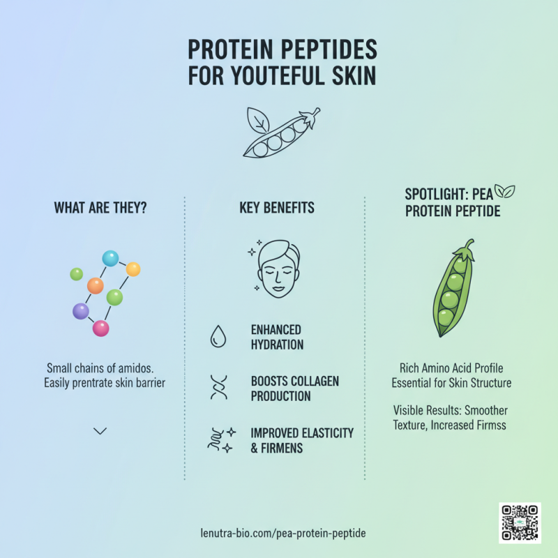 2026 Best Protein Peptide Benefits and Uses Explained