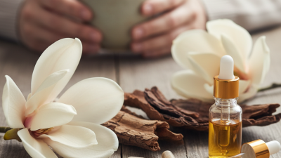 What is Magnolia Extract and its Benefits for Health?