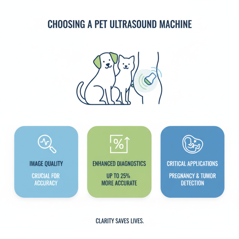 Why You Should Consider a Pet Ultrasound Machine for Your Pet?