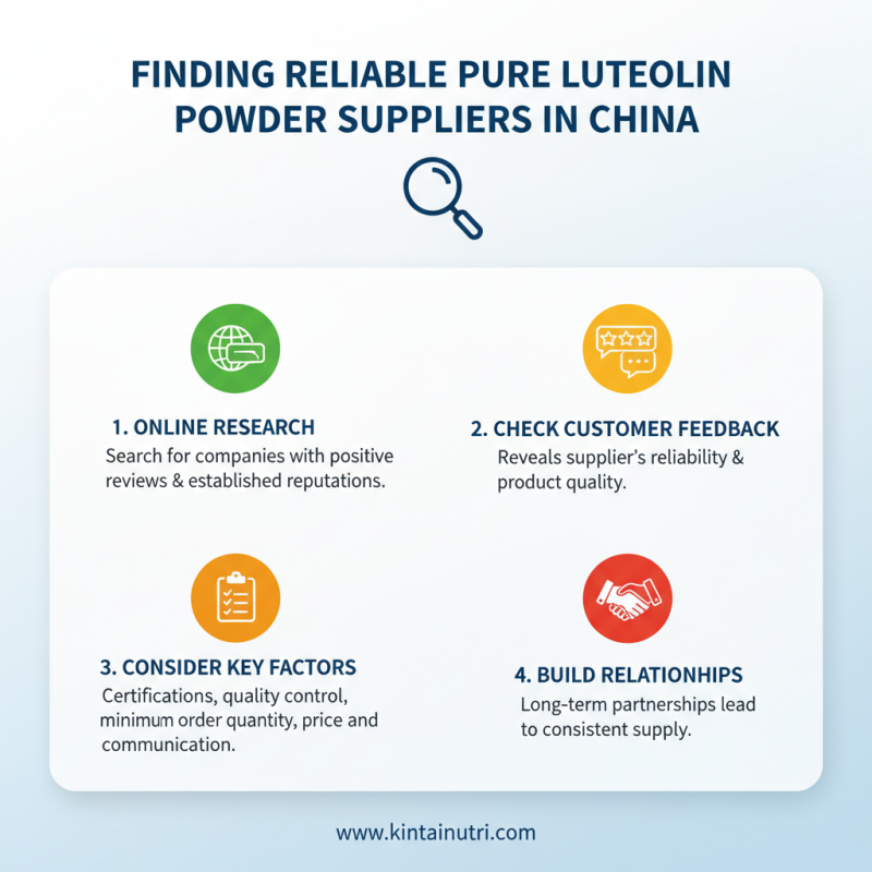 2026 How to Source China Wholesale Luteolin Powder Quotes Efficiently?