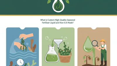 What is Custom High-Quality Seaweed Fertilizer Liquid and How Is It Made?