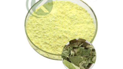 Epimedium Extract Powder.png