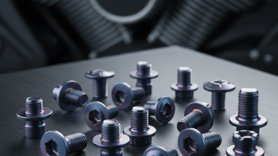 Top 10 OEM Wholesale Titanium Decorative Bolt Pricelist Insights?