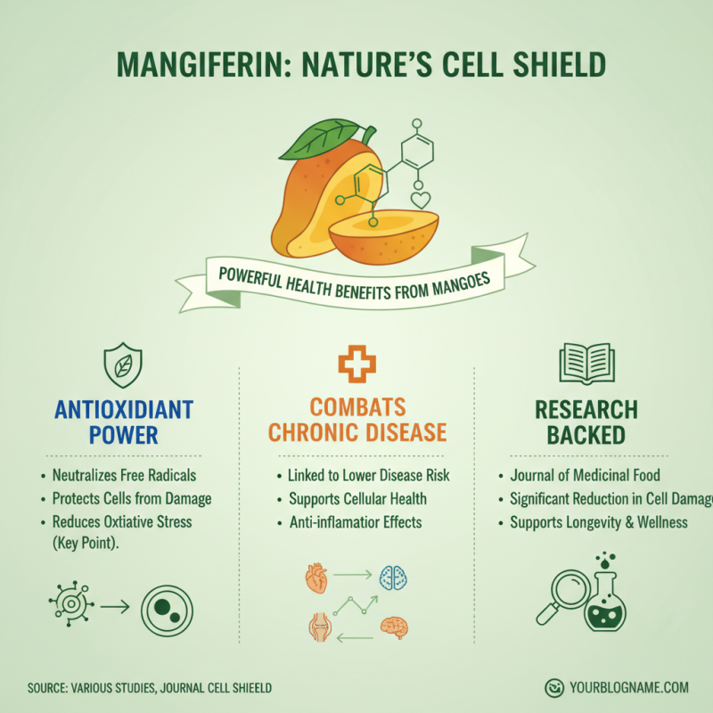 Why Choose Water-Soluble Mangiferin Powder for Health Benefits?