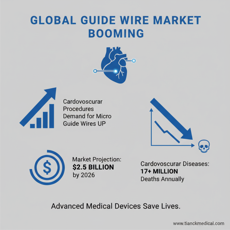 2026 Top OEM China Micro Guide Wire Factory Innovations for Medical Devices?