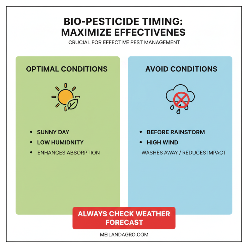 Top 10 Tips for Using Bio Pesticides Effectively?