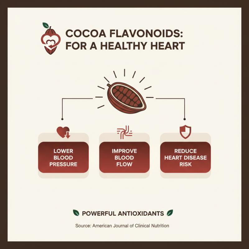 Why Is Cocoa Essential for Health and Wellbeing?