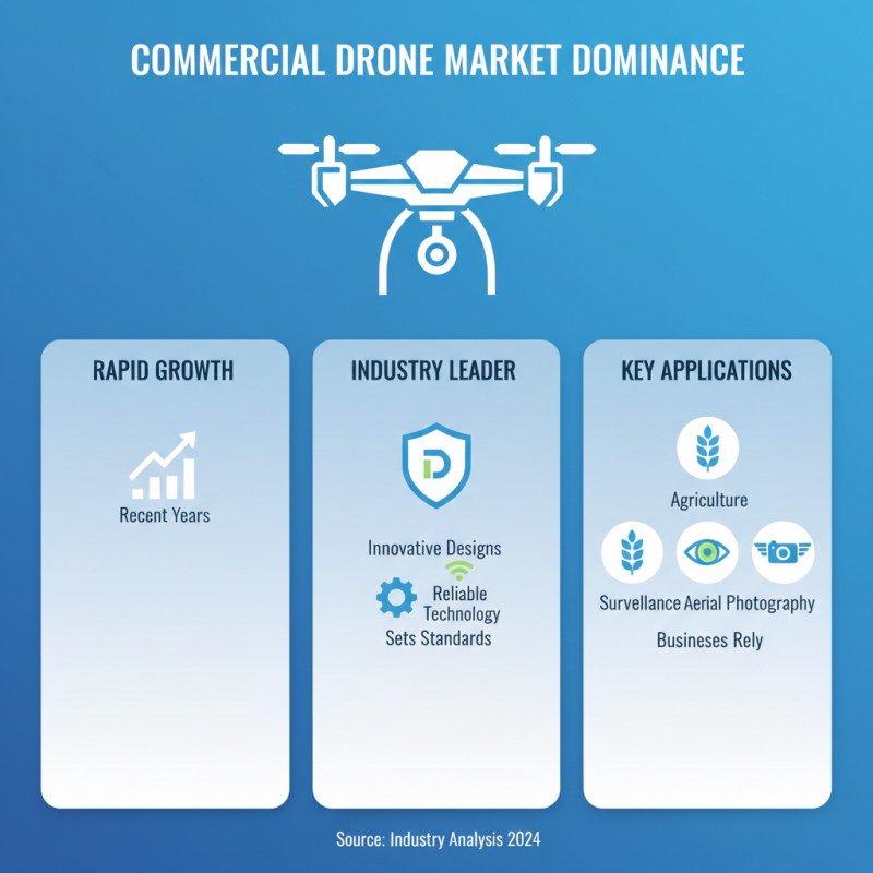 Top 5 Famous China Commercial Drones Factories You Should Know?
