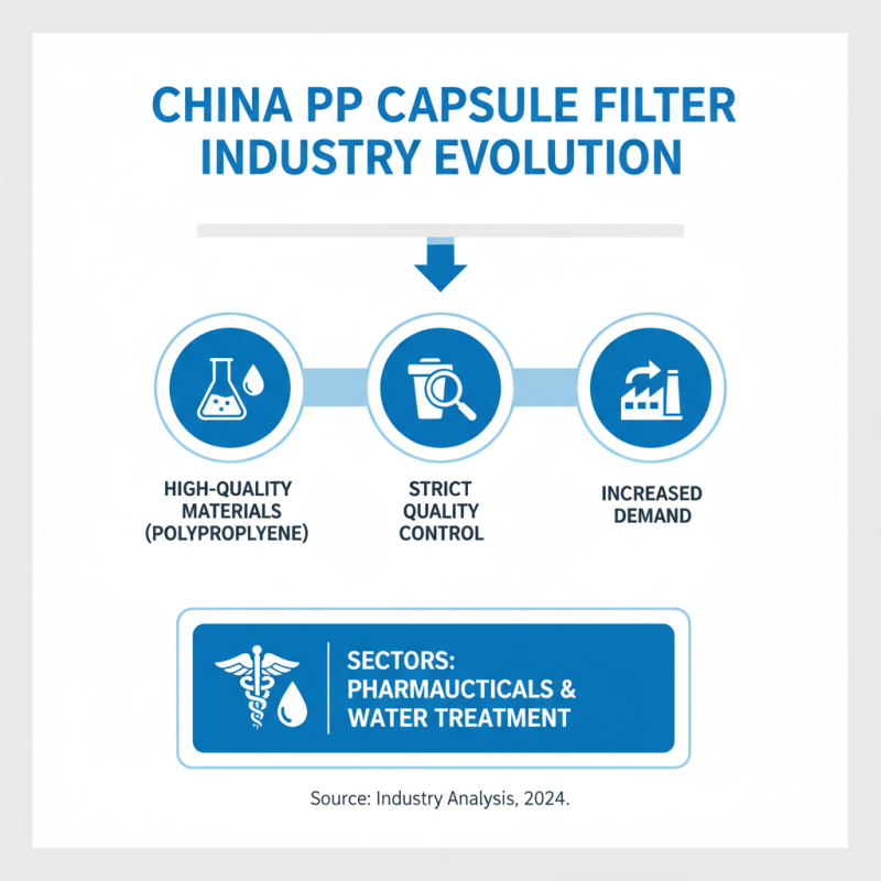 2026 Best High Quality China PP Capsule Filter Manufacturer Insights?