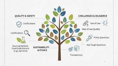 How to Choose the Best China Natural Pigment Factory for Your Needs?