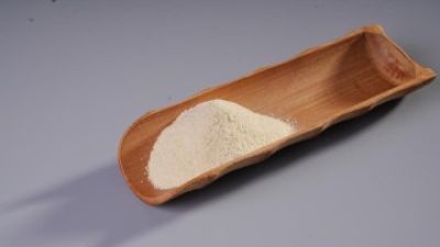 Lactobacillus casei.jpg