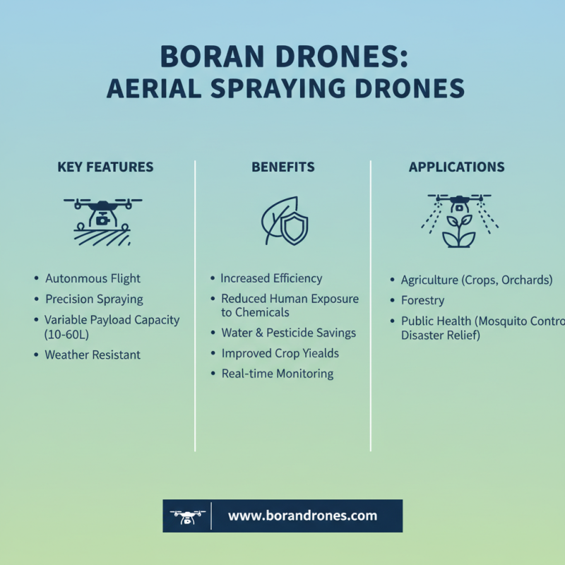 Top 10 Benefits of Custom High Quality Reforestation With Drones?