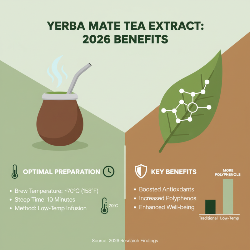 The Benefits of Yerba Mate Tea Extract in 2026 Best Practices?