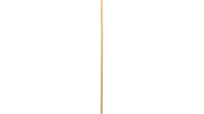 Z1.png