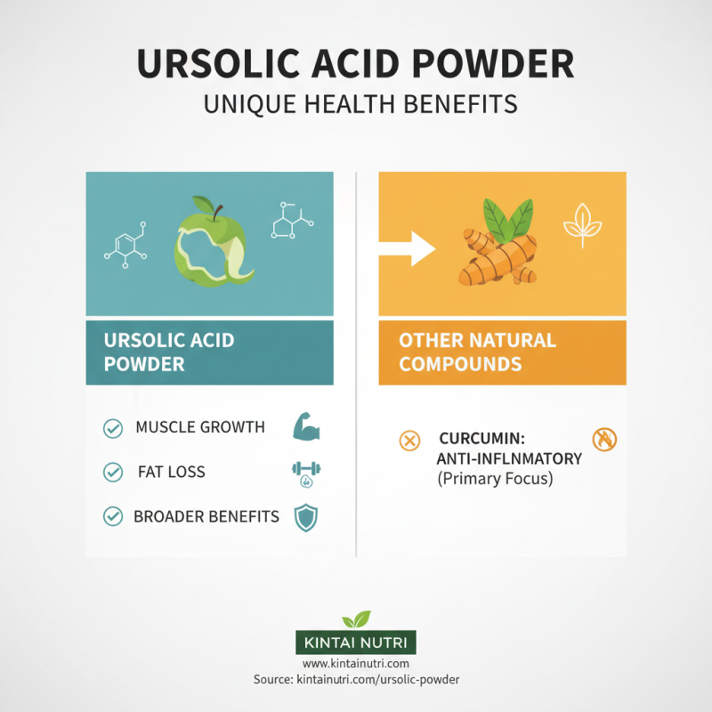 Why is Ursolic Acid Powder Beneficial for Health?