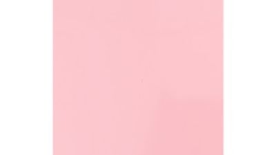 Highlight Fluorescent Pink.jpg