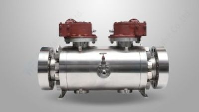 Twin balls DBB valve.jpg