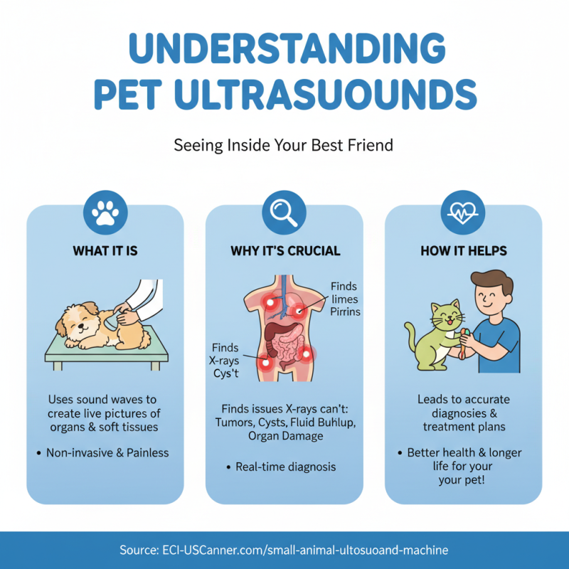 How to Use Animal Ultrasound for Better Pet Health?