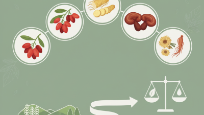 Top 5 Organic TCM Ingredients for Natural Healing?