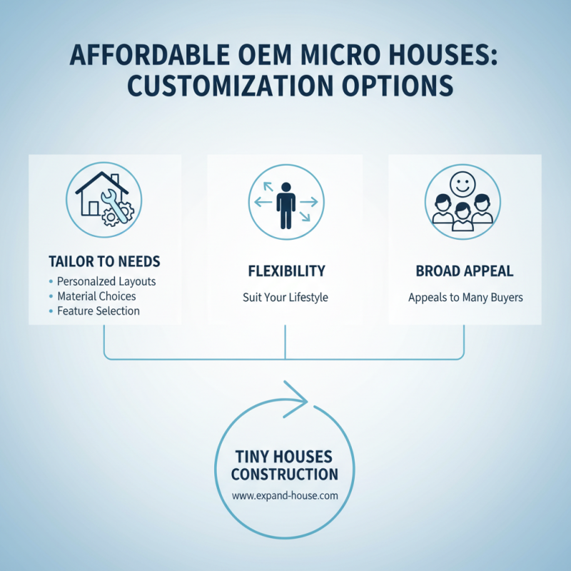 Top OEM Cheap Micro Houses Service Options for Affordable Living Solutions?