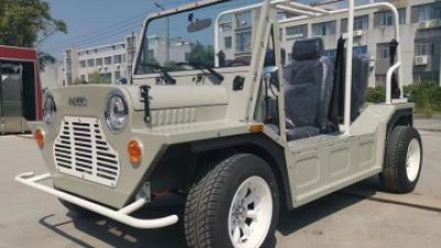 2026 Top OEM ODM Moke Voiture Exporters You Should Know?