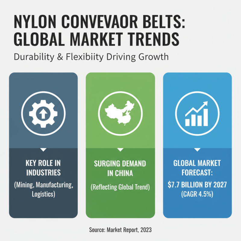 Top 10 Best China Nylon Conveyor Belts Supplier for Your Business Needs?