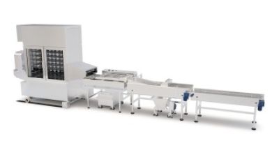 DPL Series Automatic Yeast Donut Production Line.jpg
