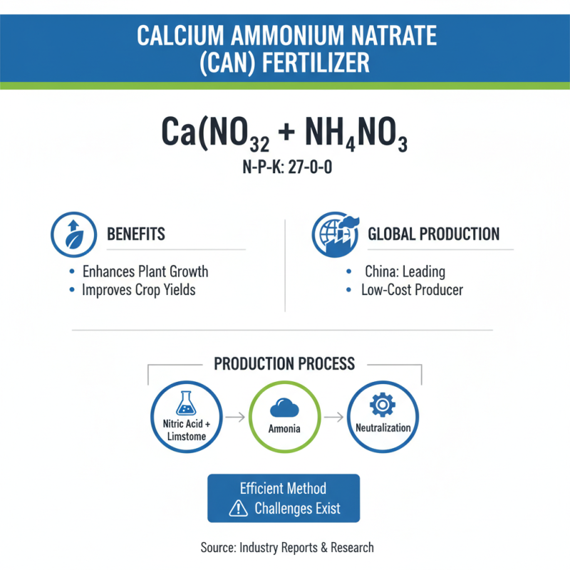What is Cheap China Calcium Ammonium Nitrate Products and Their Uses?