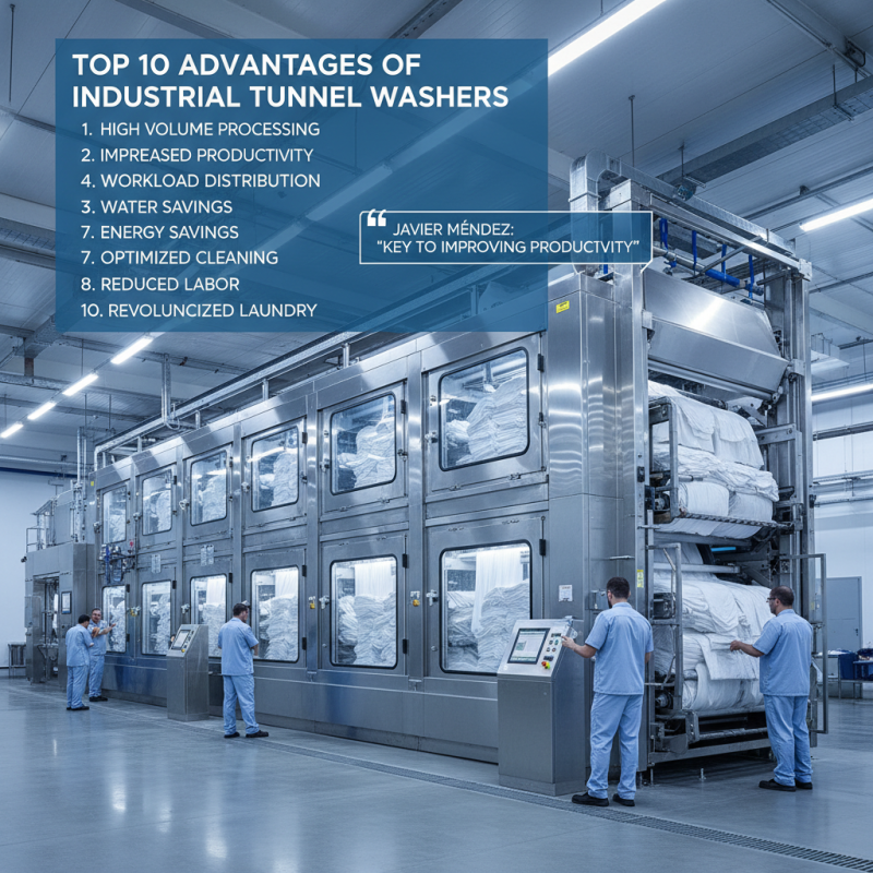 Top 10 Ventajas de las Lavadoras Túnel Industriales?