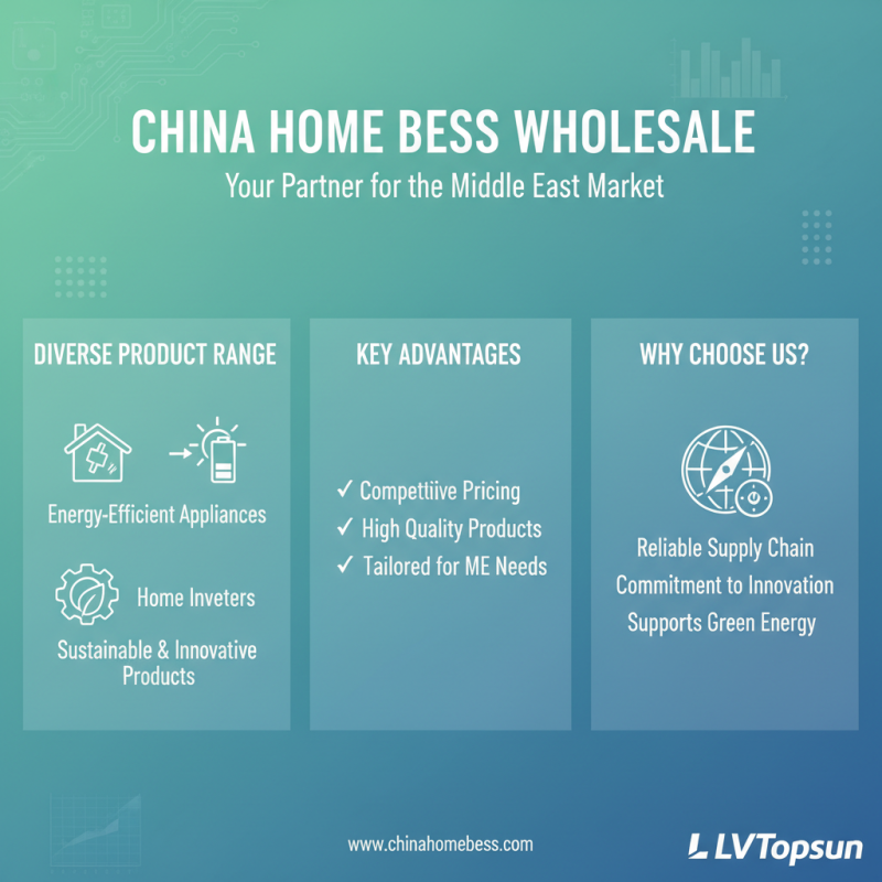 Why Choose China Home Bess Wholesale for Middle East Service?