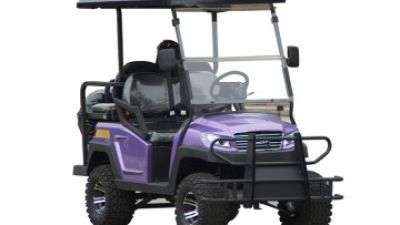 2026 How to Choose the Best Beach Buggy Golf Cart?