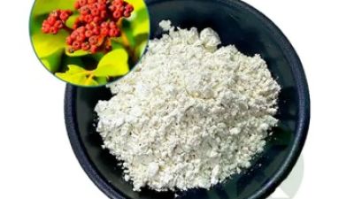 Evodia-extract-high-quality-Evodiamine-powder-CAS-518-17-2.jpg