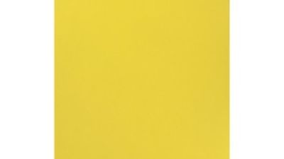 Fluorescent.jpg