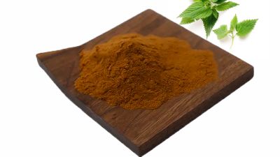 Nettles-Leaf-Extract.jpg
