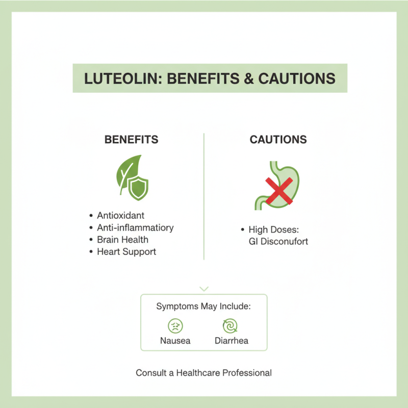 Luteolin Powder Benefits and Tips for Healthy Living?