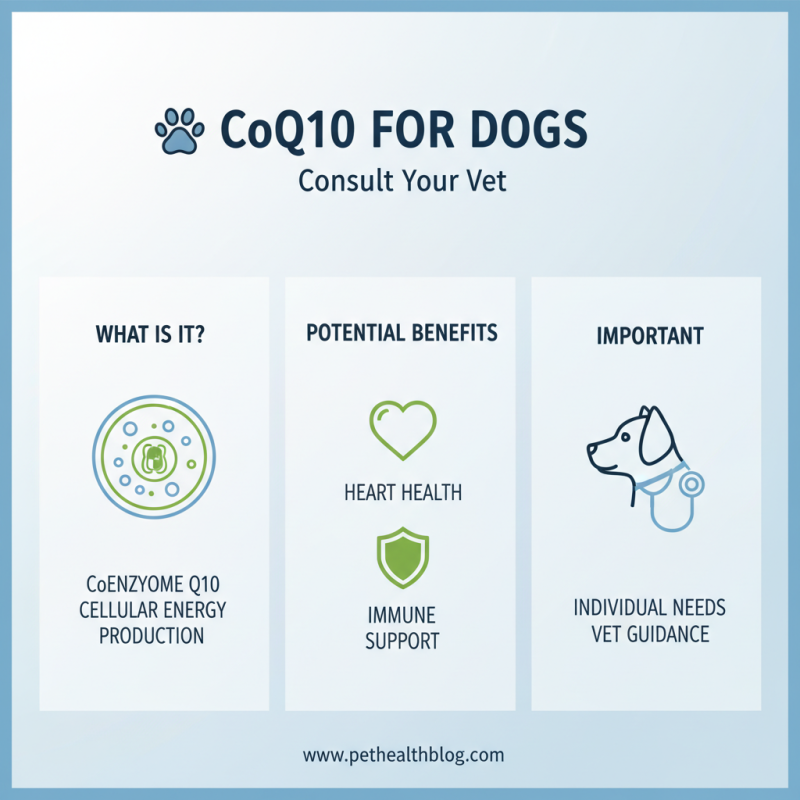 Is Co Q 10 Safe for Dogs and What Are Its Benefits?