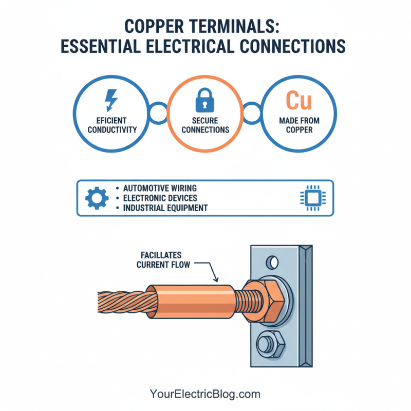 What is Copper Terminals and How Are They Used?