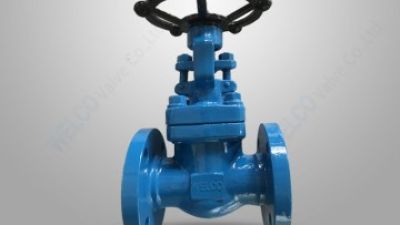Forged steel integral flanged globe valve.jpg