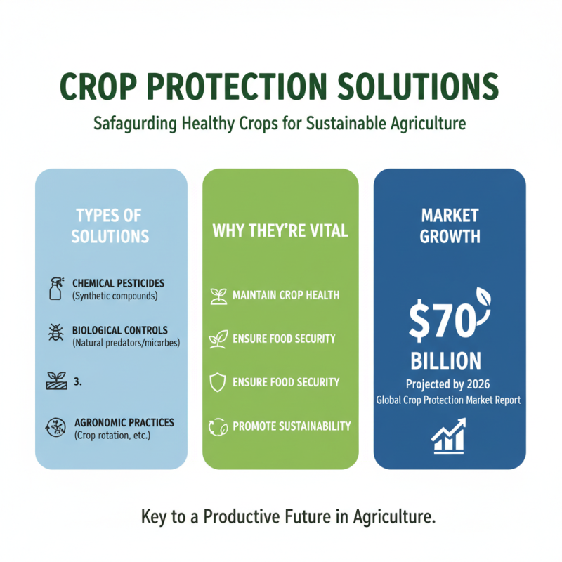 2026 How to Choose the Best Crop Protection Solutions?