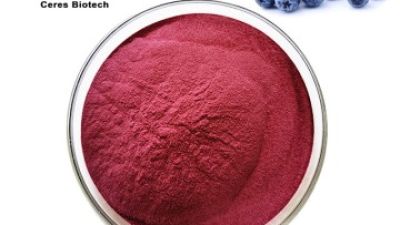 Acai Berry Extract.jpg