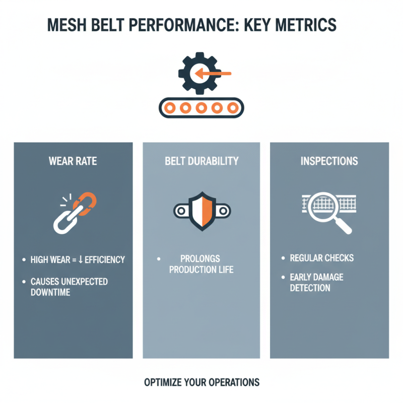 Essential Mesh Belt Tips for Improved Efficiency and Durability?