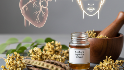What is Sophora Japonica Extract and its Benefits?