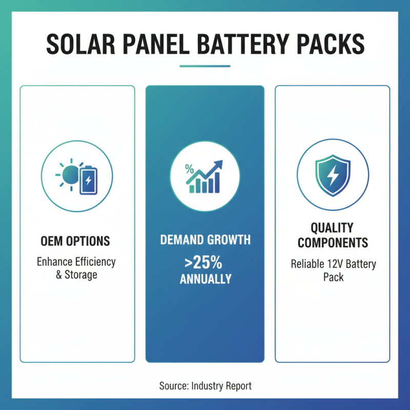 Top 10 Solar Panel Battery Pack OEM Options for Your Needs?