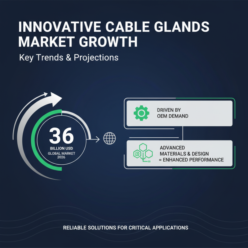 2026 Best OEM CE Certification Cable Glands Factories to Consider?